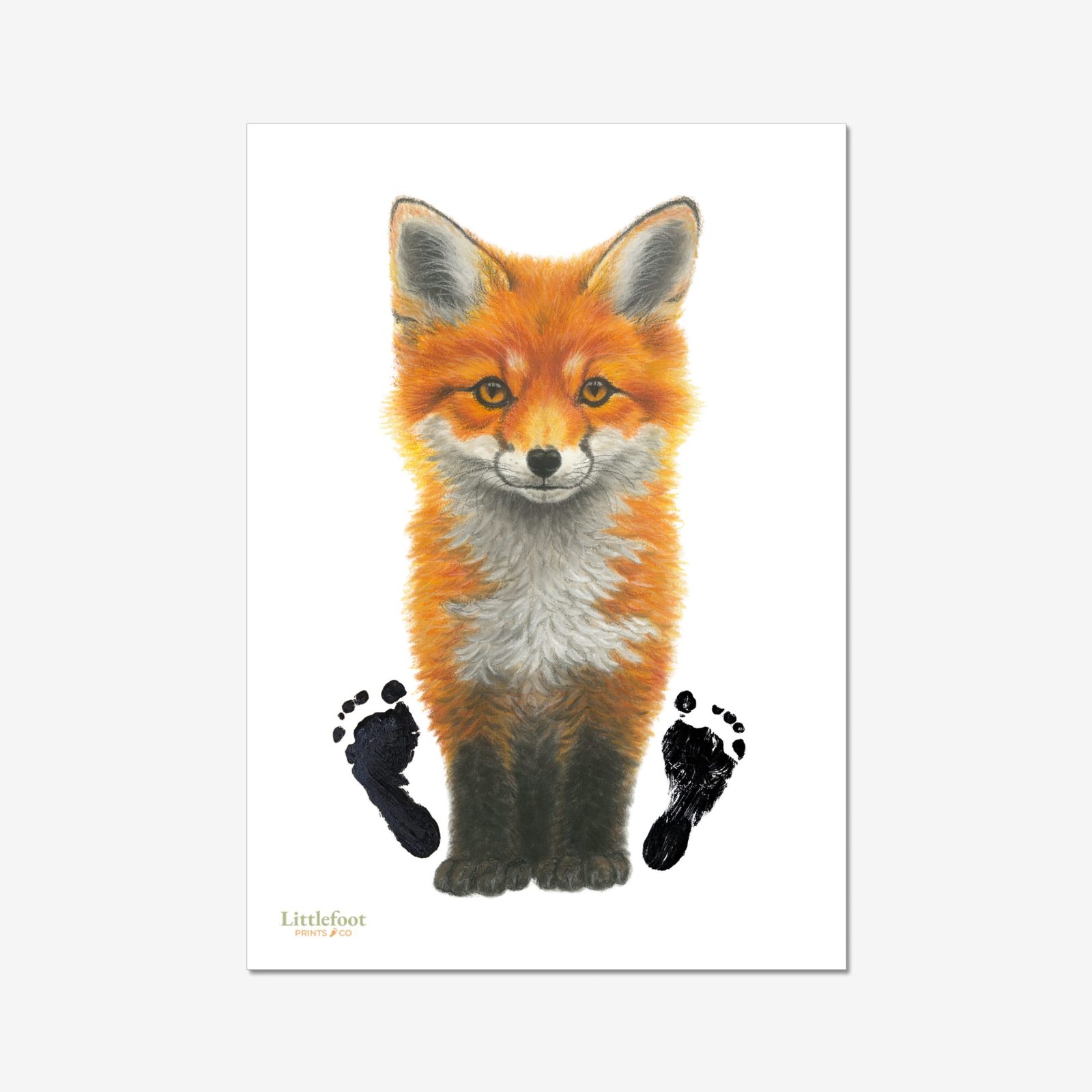 Fox Paper or Canvas Print - Image 3