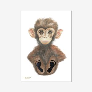 Monkey Paper or Canvas Print