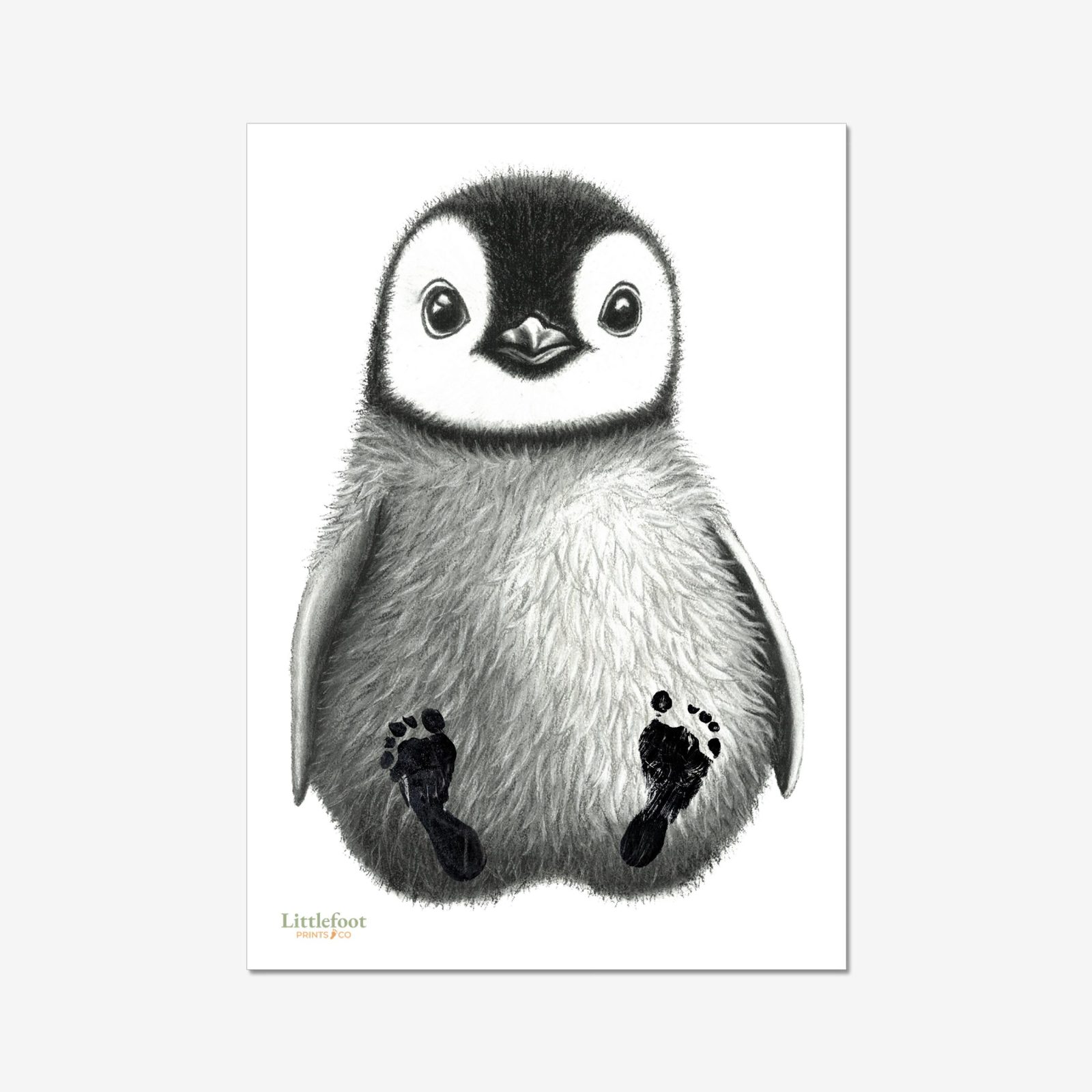Penguin Paper or Canvas Print - Image 2