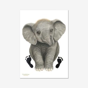 Elephant Paper or Canvas Print