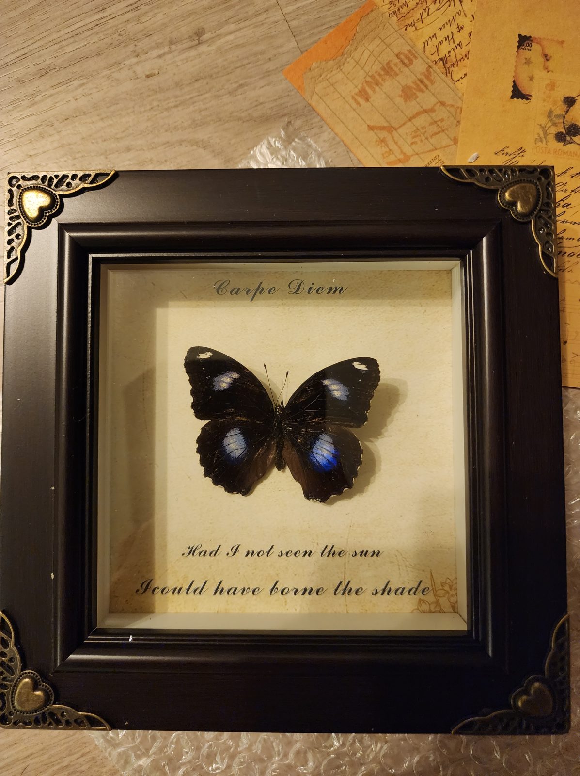 Steampunk Framed Butterfly-Blue Moon