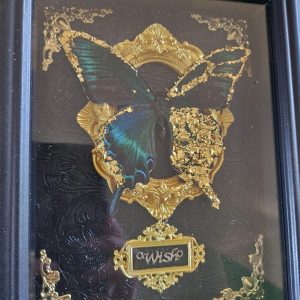 Gothic Altered Framed Butterfly- Gold