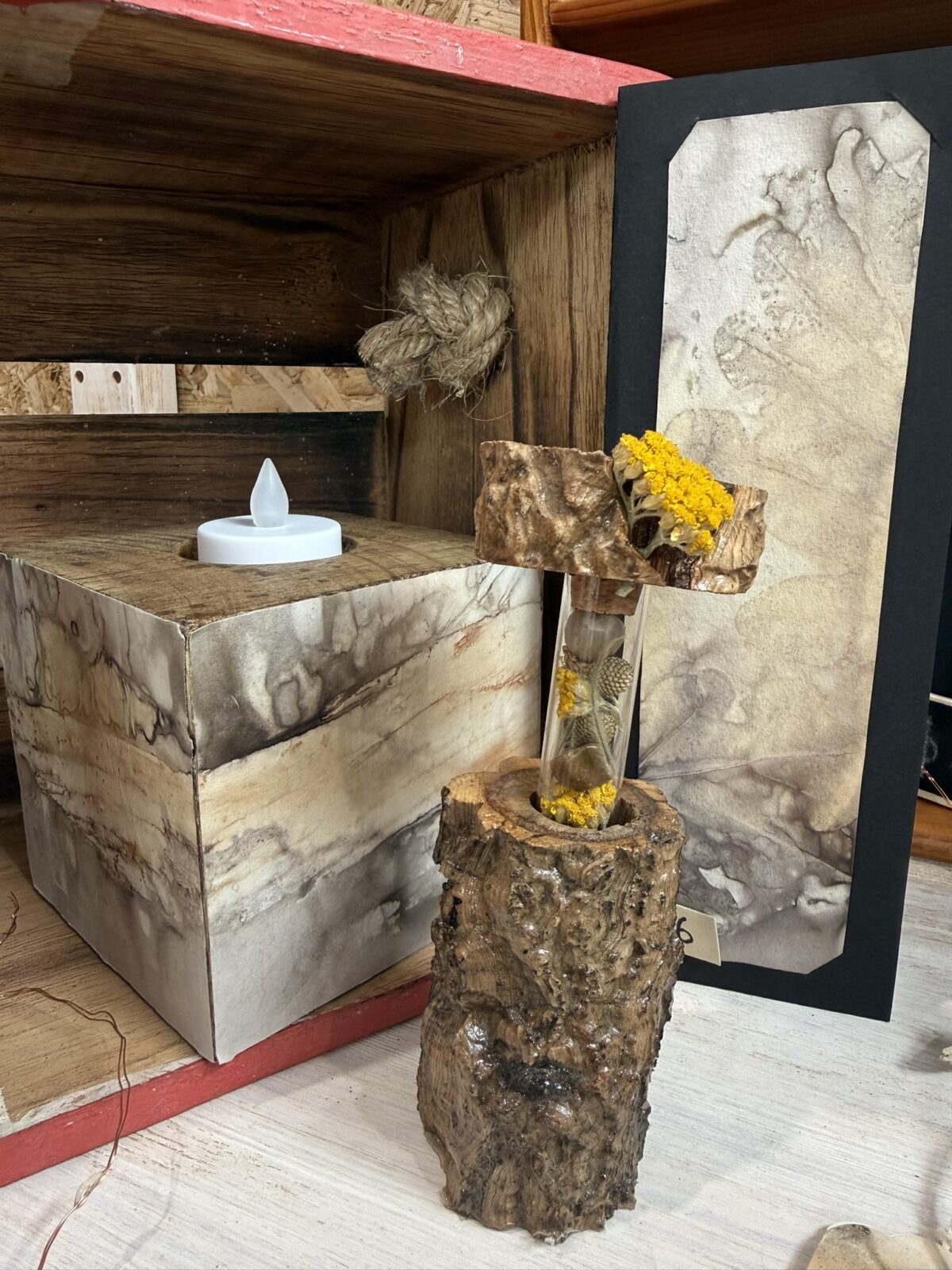 Dried Flower tube encased in Cork Tree Branch
