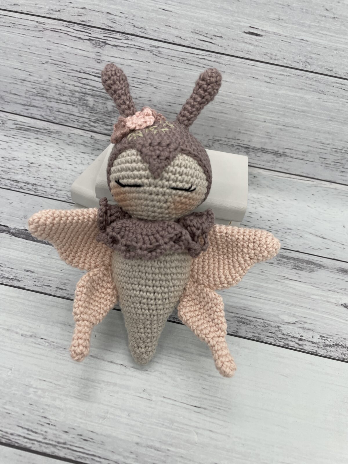 Claudia the Butterfly