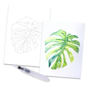 Monstera Steps by Steps