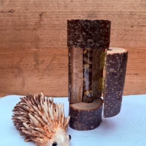 Dried Flower tube encased in Banksia Branch