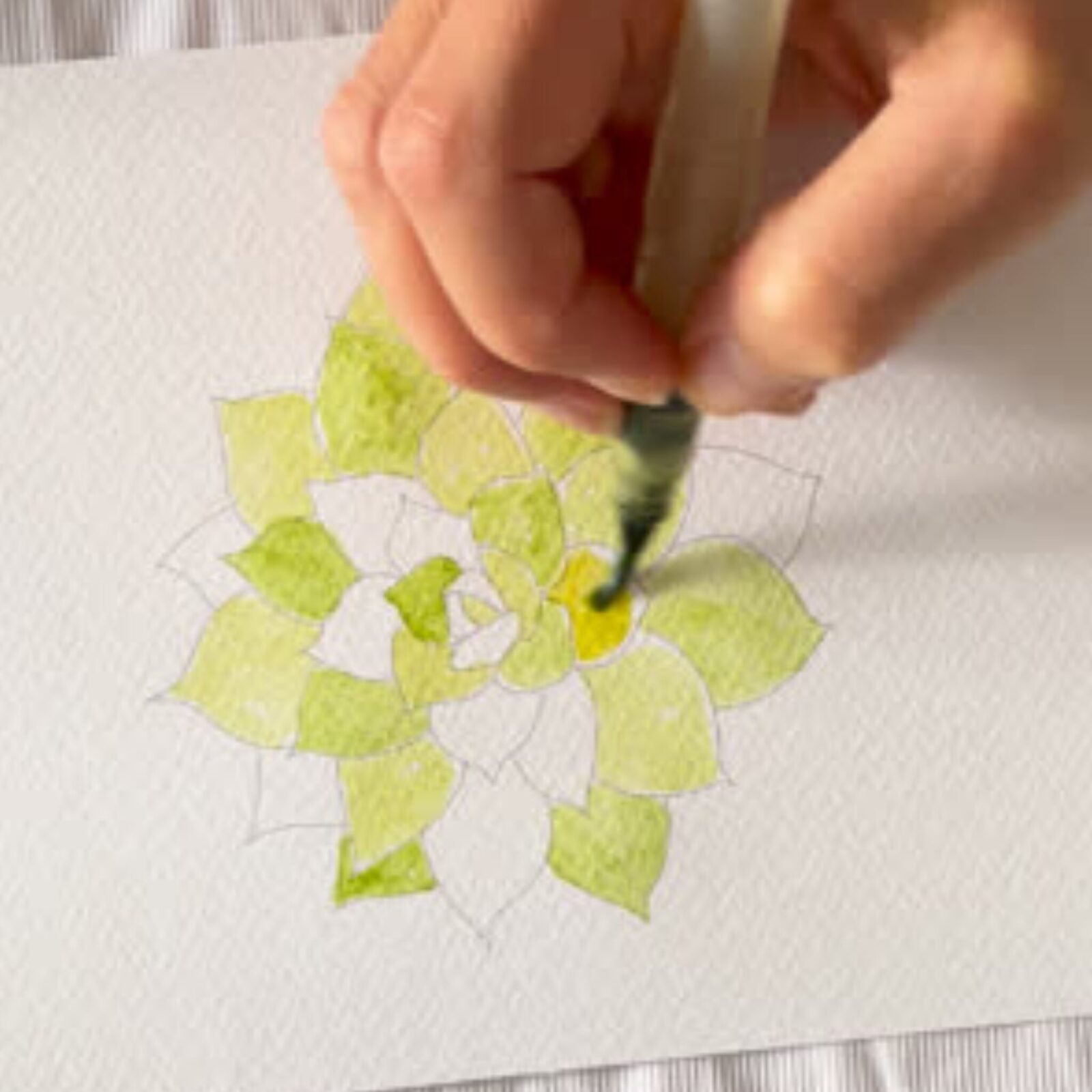 Paint a succulent with the pre sketched template from Et Voilà Studios