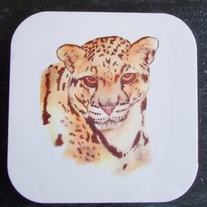 Cheetah Watercolour Coaster