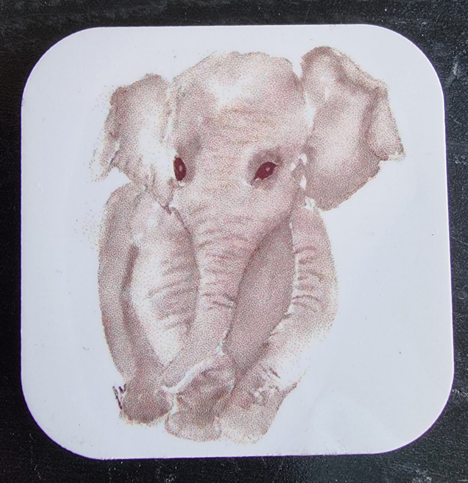 Elephant Magnet
