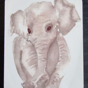 Elephant Magnet