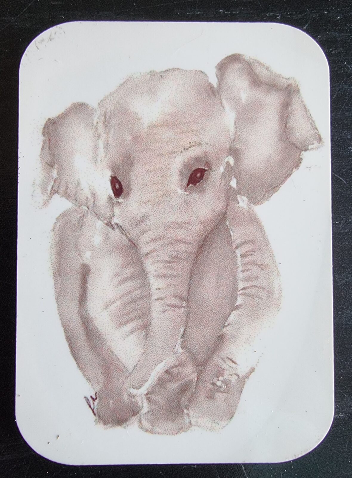 Elephant Magnet