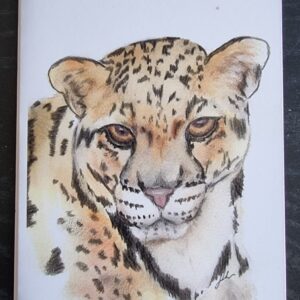 Cheetah Greeting Card