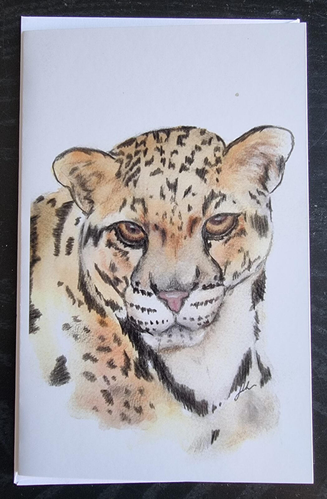 Cheetah Greeting Card