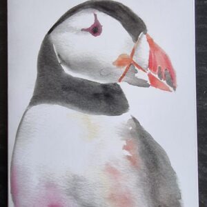 Puffin Greeting Card