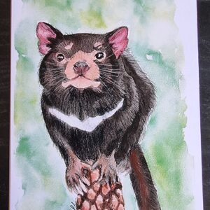 Tasmanian Devil Watercolour Print