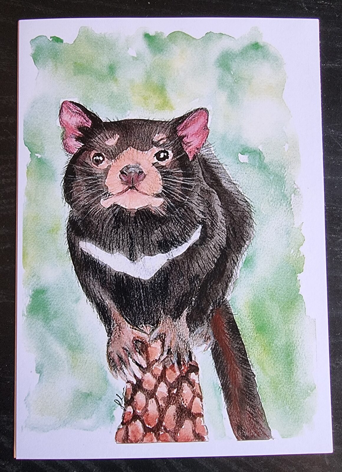 Tasmanian Devil Watercolour Print