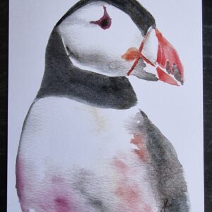 Puffin A5 Watercolour Print