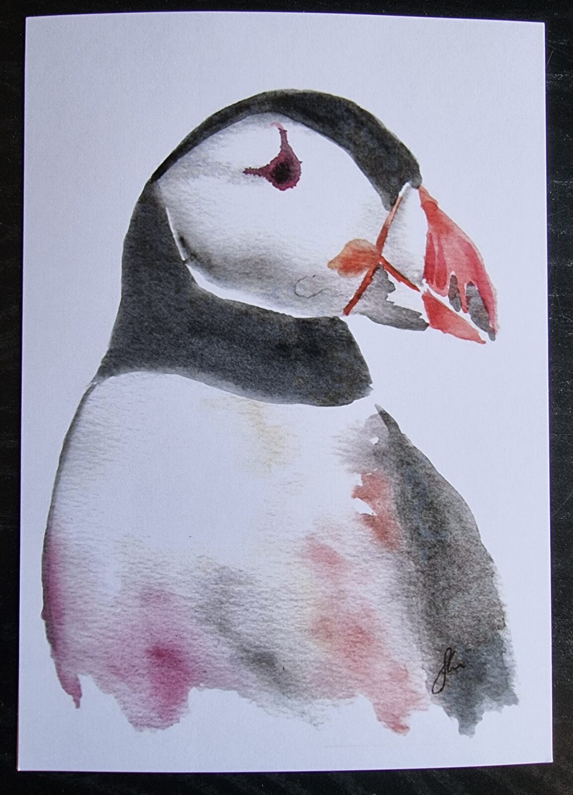 Puffin A5 Watercolour Print