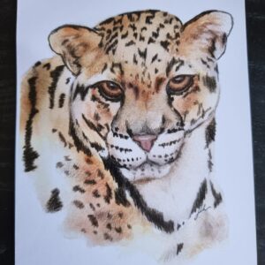 Cheetah A5 Watercolour Print