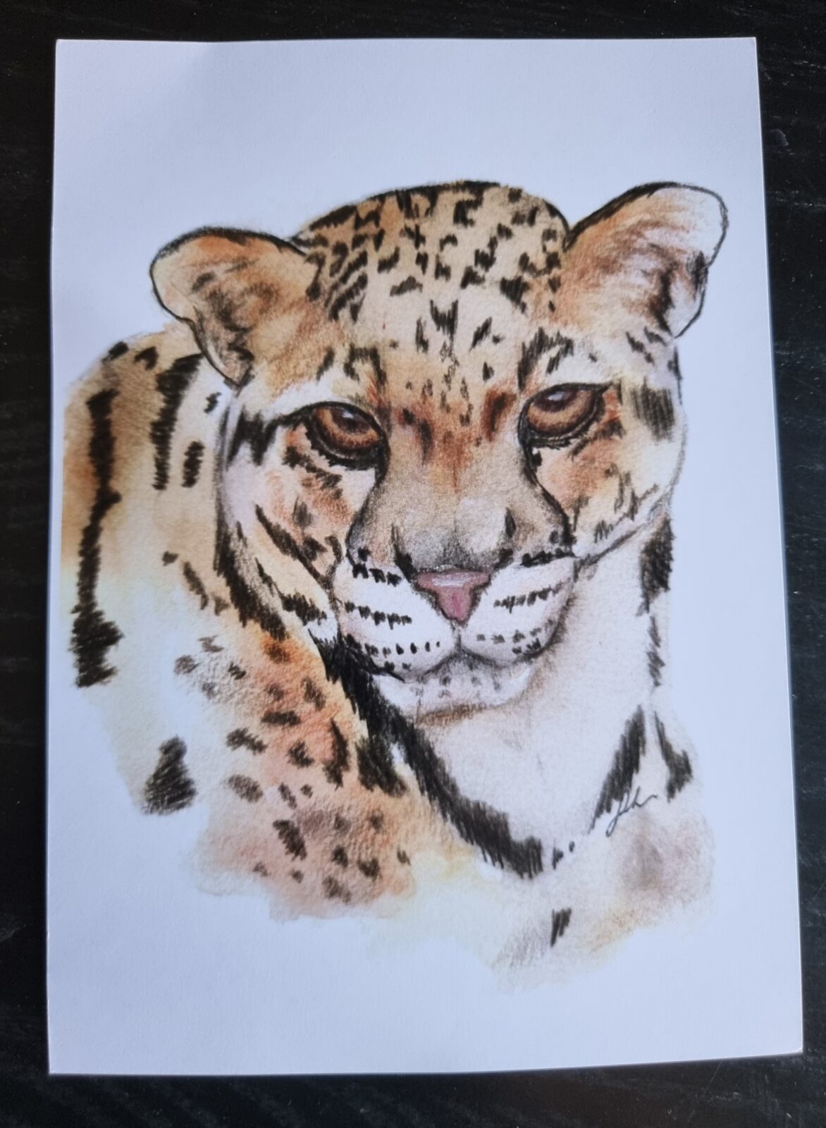 Cheetah A5 Watercolour Print