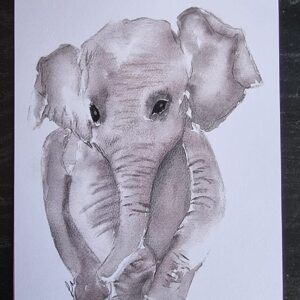 Elephant A5 Watercolour Print
