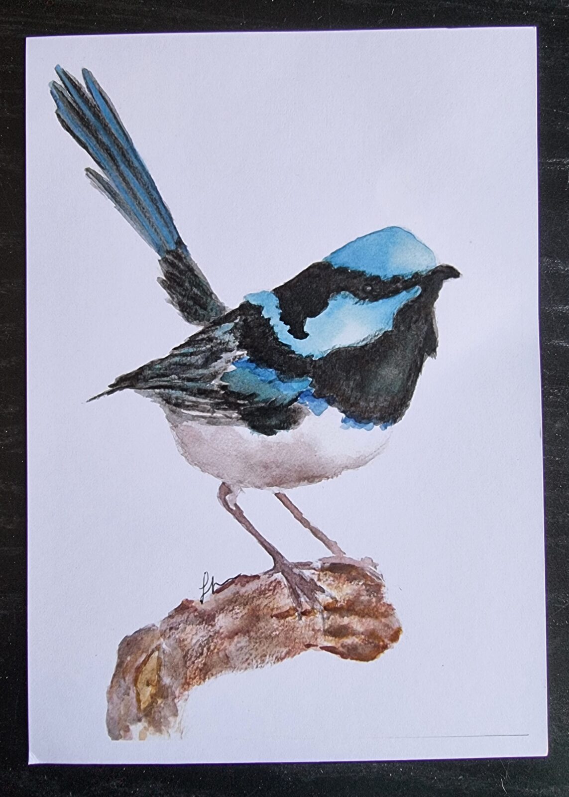 Blue Wren A5 Watercolour Print