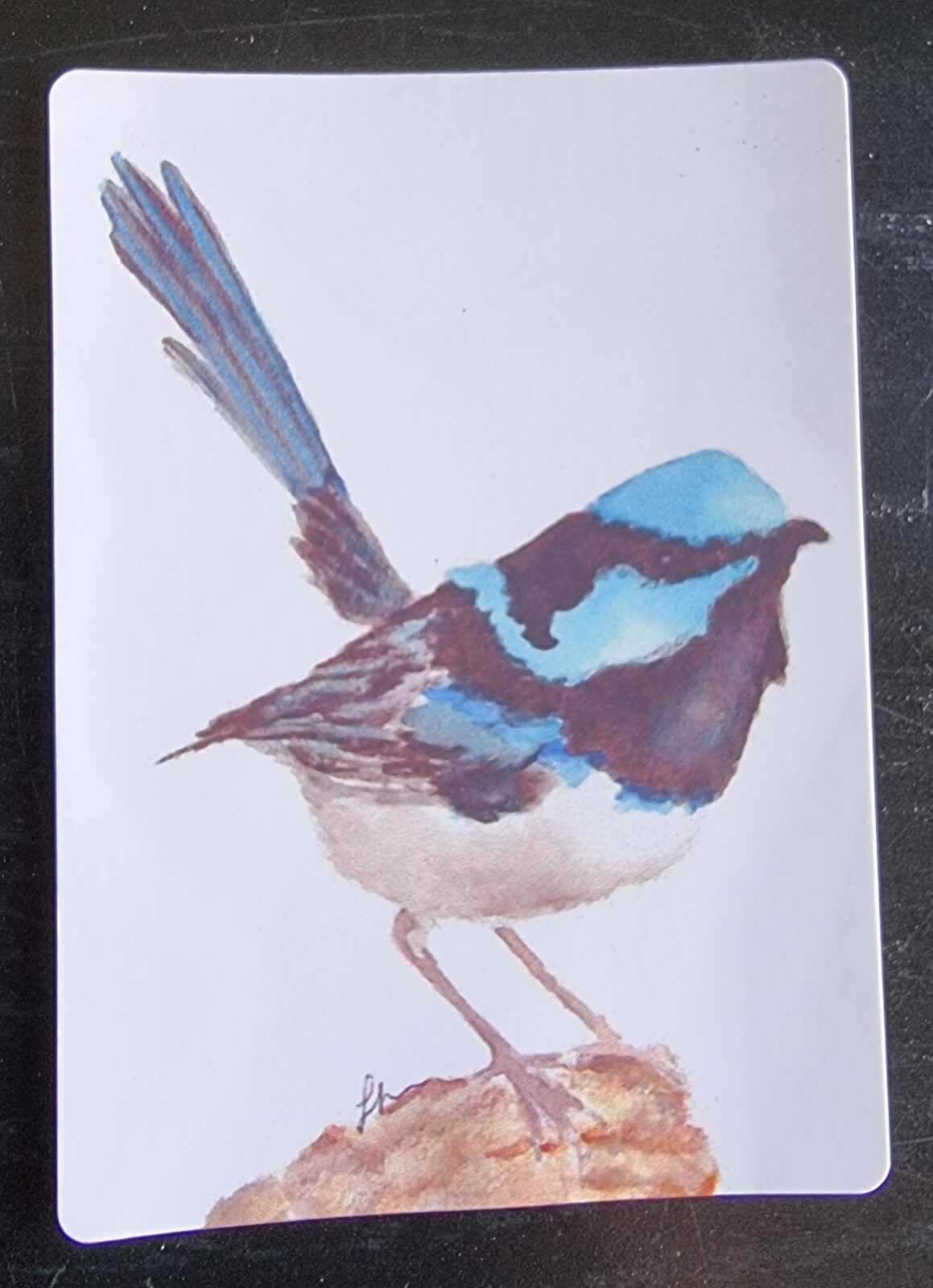 Blue Wren Swap Card