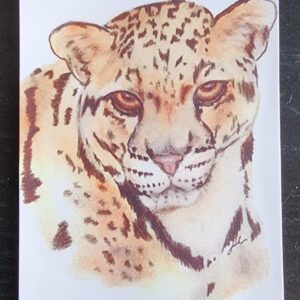 Cheetah Swap Card