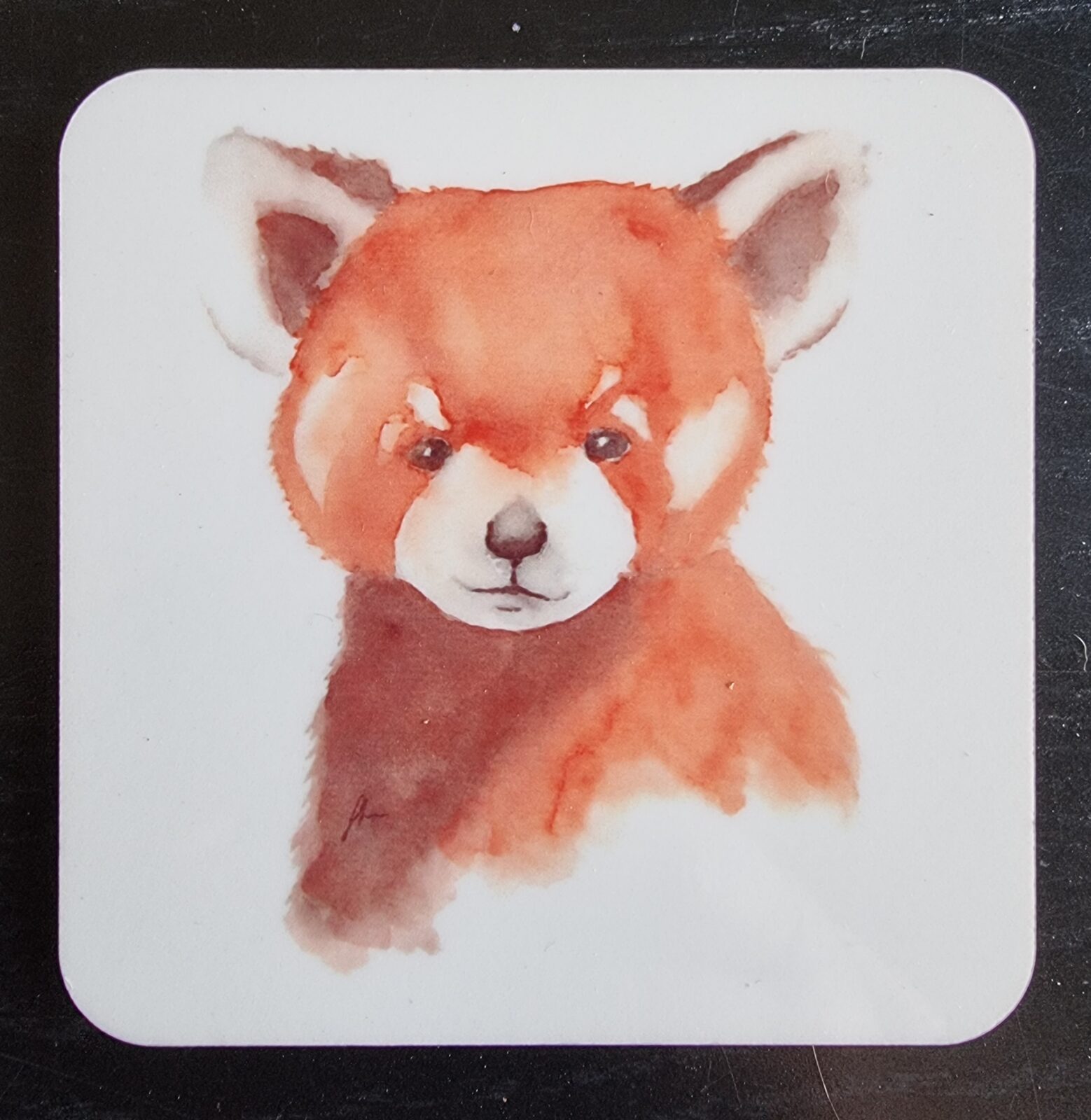 Red Panda Coaster