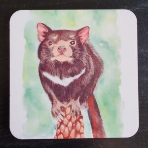 Tasmanian Devil Coaster