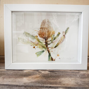 Framed Painting Hooker Banksia Jodie Westall Artist