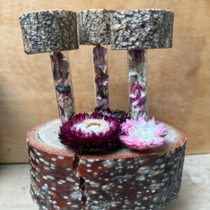 Banksia Base - 3 Dried Flowers Vials