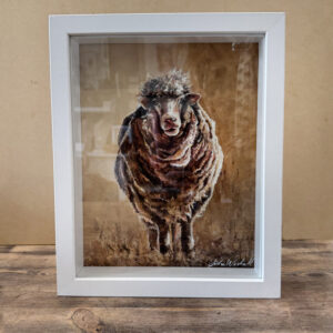 Framed Painting of a Sheep by Jodie Westall Artist