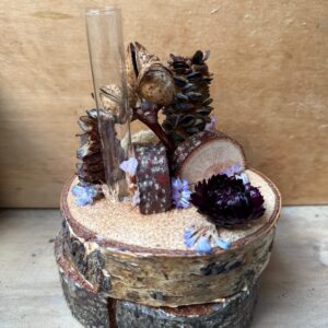 Silverbirch Base Medium - Multiple Test Tubes