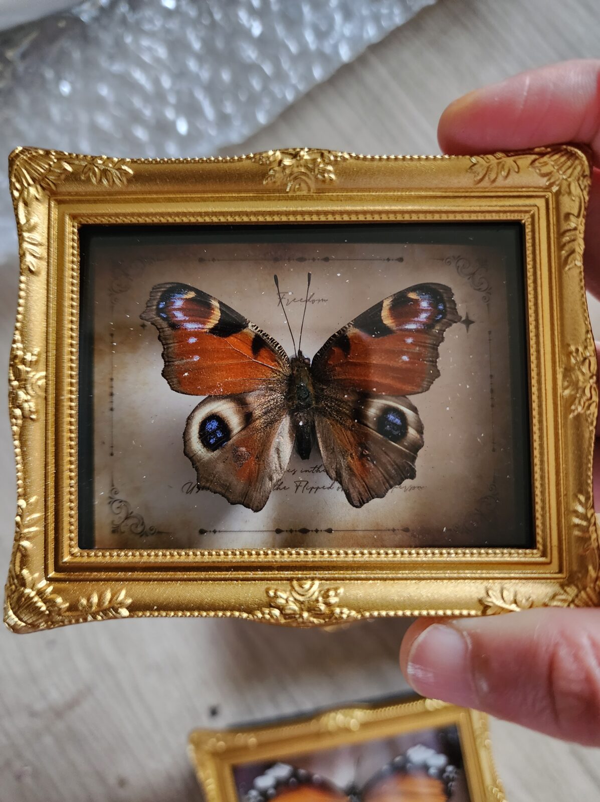Fridge Magnet Framed Butterfly - Image 11