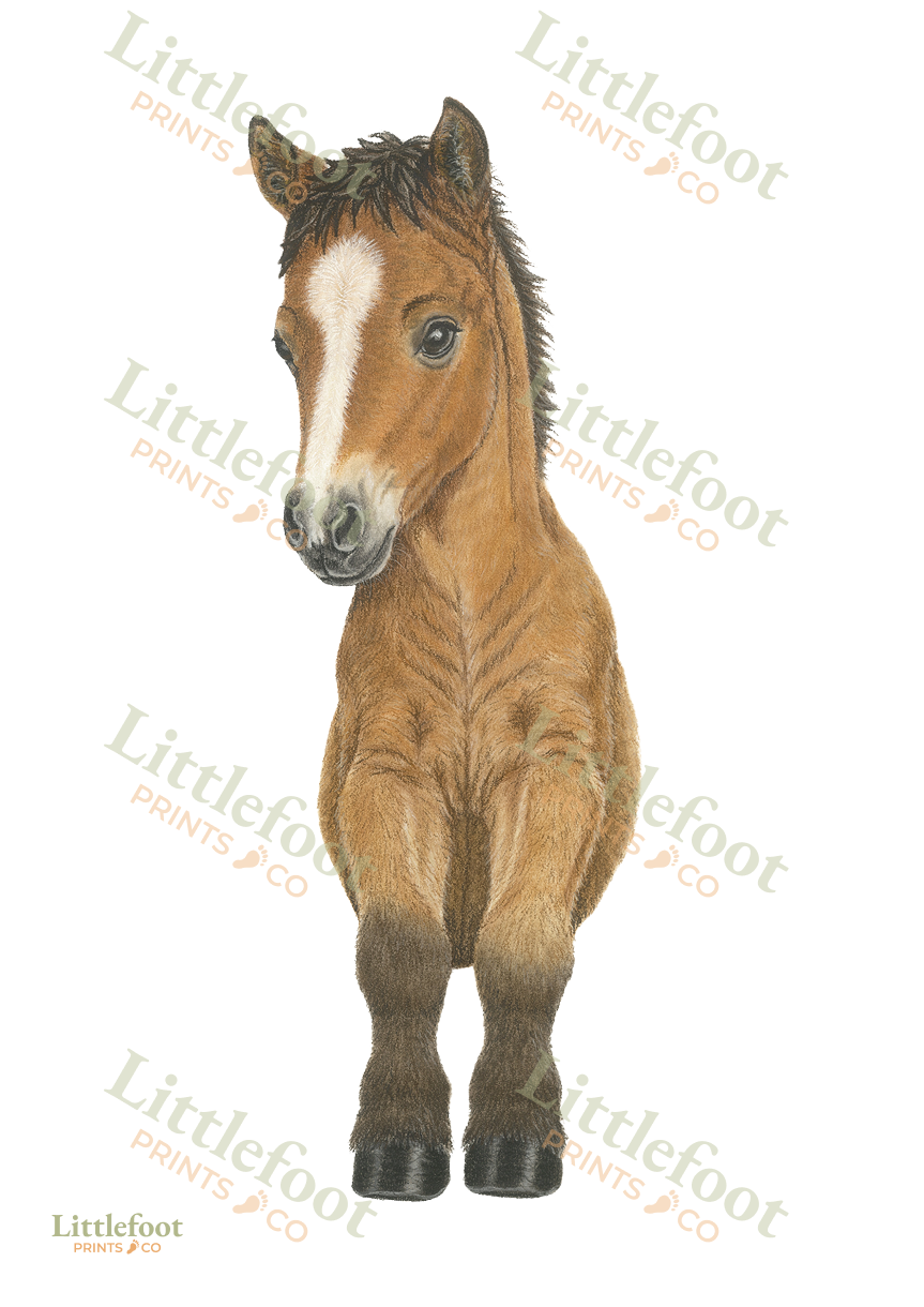 Hand Drawn Horse / Pony Print - Add Your baby's Footprints - Image 3