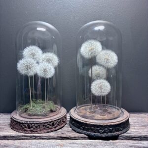 Family of Wishes (4 stems)