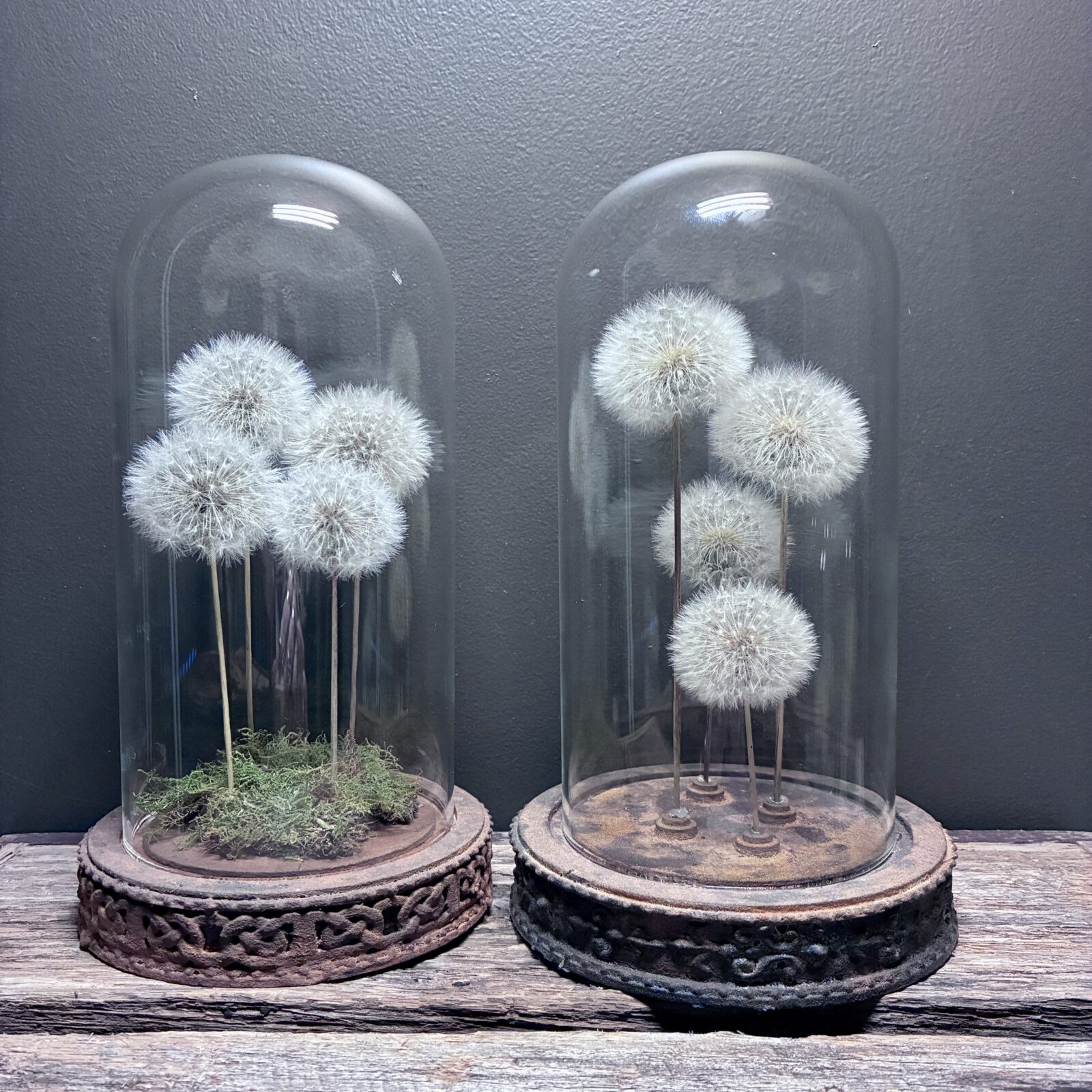 Family of Wishes (4 stems)