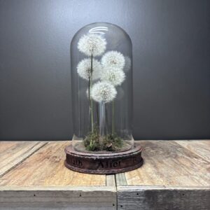 Family of Wishes (5 stems)