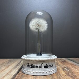 Baby Jar: Lifetime of wishes