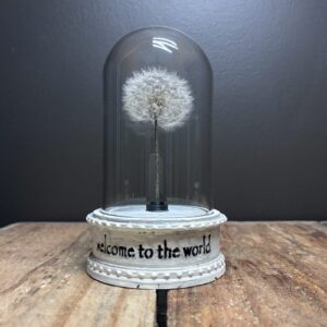 Baby Jar: Welcome to the world