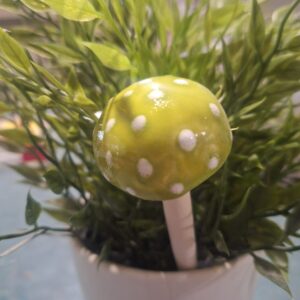 Toadstool -Green