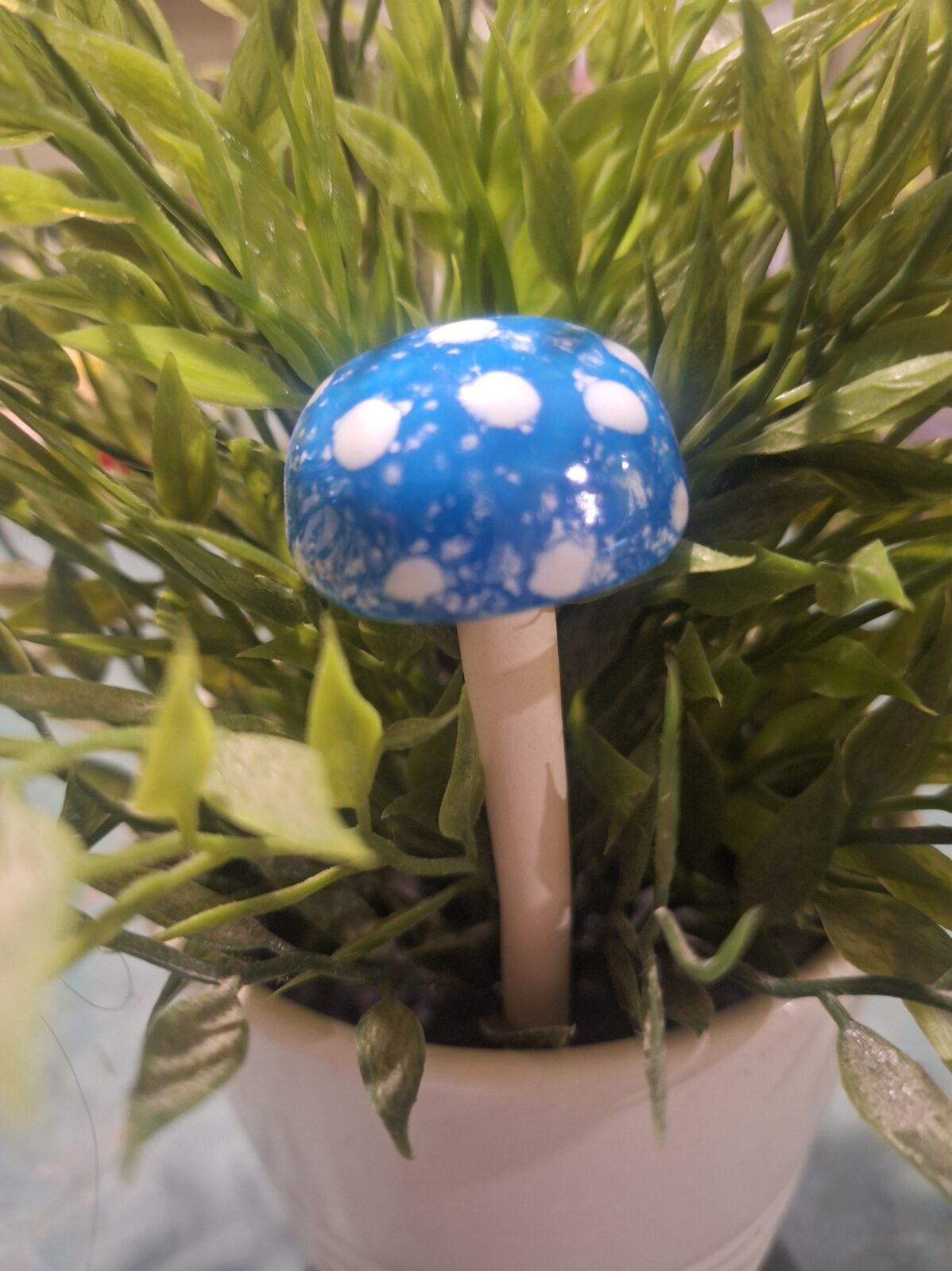 Toadstool - Blue