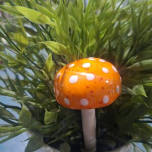 Toadstool- Orange
