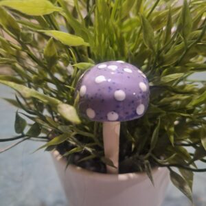 Toadstool - Mauve