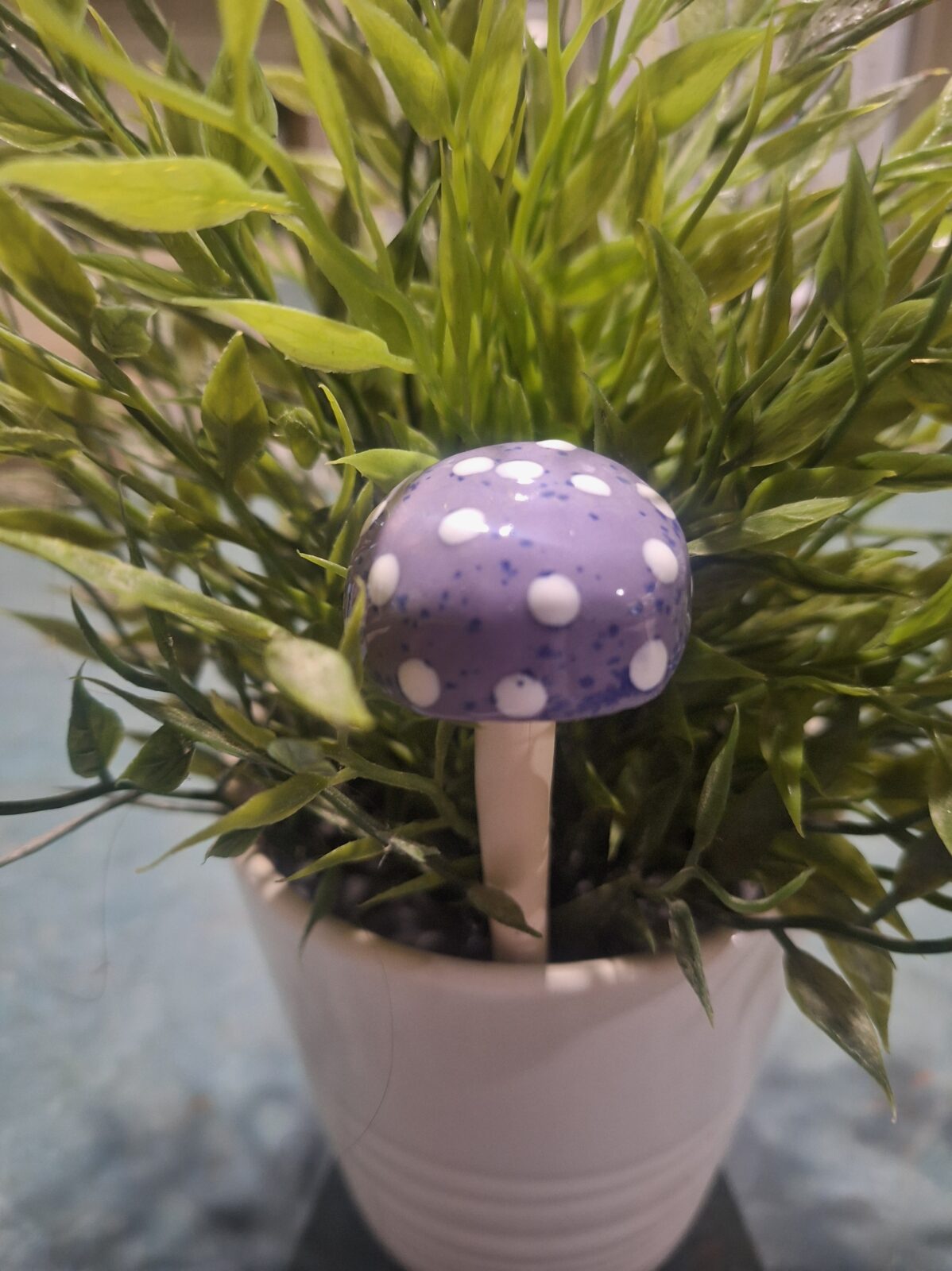 Toadstool - Mauve