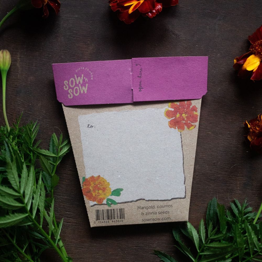 Gift of Seeds - Thanks a bunch - Image 4