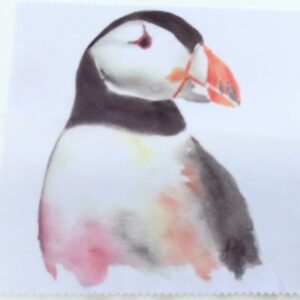 Puffin Lens Cloth