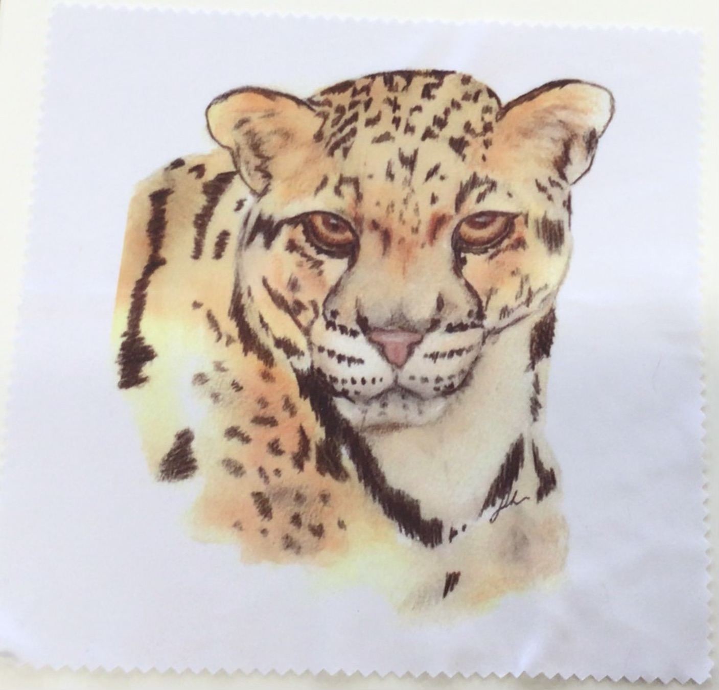 Cheetah Lens Cloth