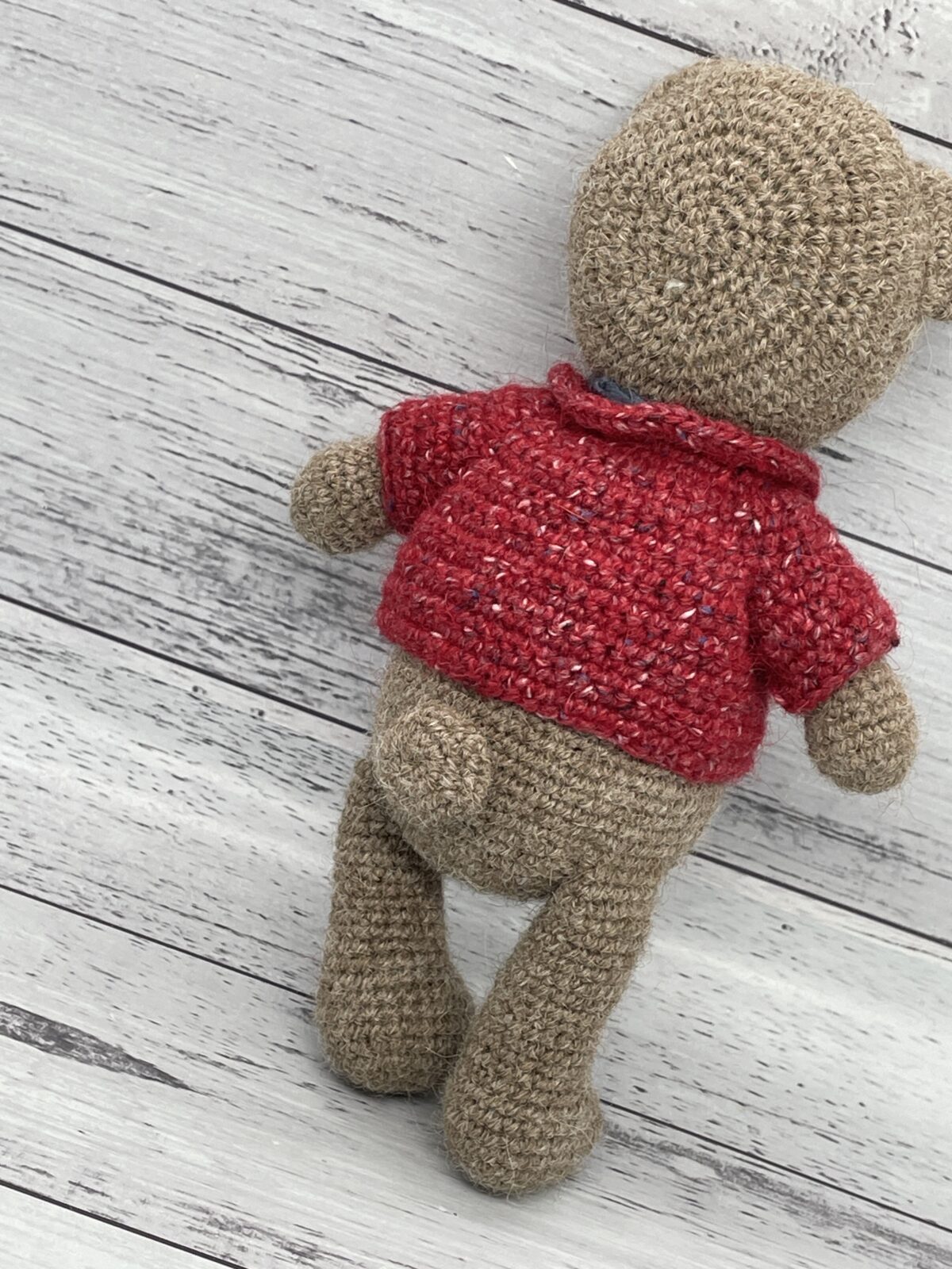 Asher the Bear - Image 4